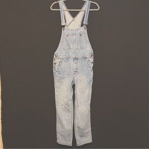 We The Free Denim Boyfriend Overalls